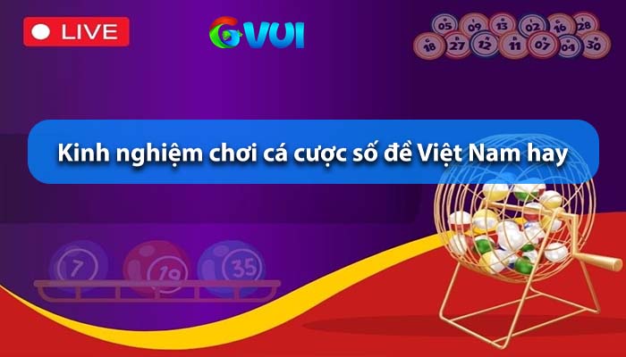 Kinh nghiệm chơi cá cược số đề Việt Nam hay Kinh nghiệm chơi cá cược số đề Việt Nam hay