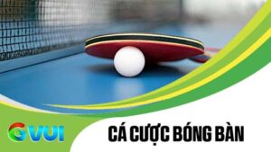 Cá cược bóng bàn tại Thể Thao GVUI