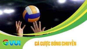 Cá cược bóng chuyền online tại GVUI