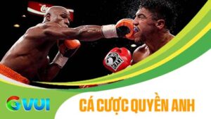 Cá cược quyền anh tại Thể Thao GVUI