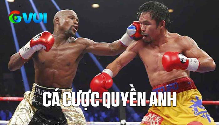 Giới thiệu cá cược quyền anh tại Thể Thao GVUI Giới thiệu cá cược quyền anh tại Thể Thao GVUI