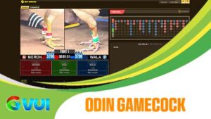 Giới thiệu sảnh cược Odin Gamecook tại Đá Gà GVUI
