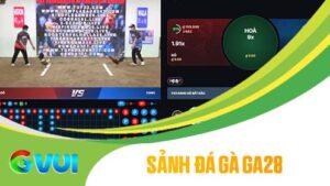 Sảnh đá gà GA28 tại GVUI