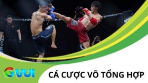 Cá Cược Võ Tổng Hợp - Kèo Cược Tiềm Năng Tại Thể Thao GVUI