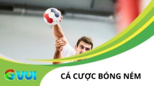 Luật chơi cá cược bóng ném tại Thể Thao GVUI